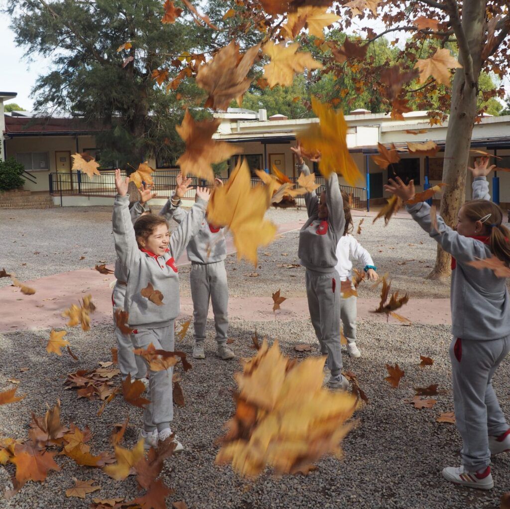 colegio espacios verdes jardín valencia