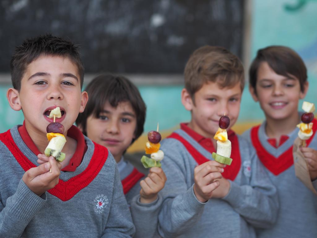 colegio edelweiss school menú